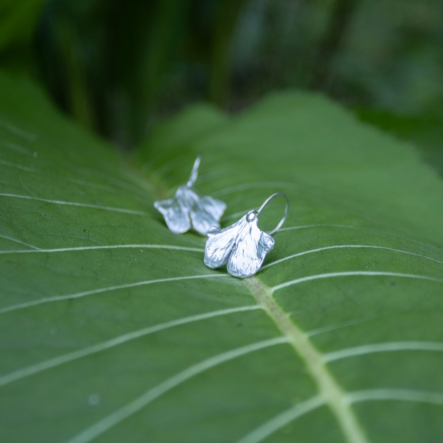 Ginkgo earrings