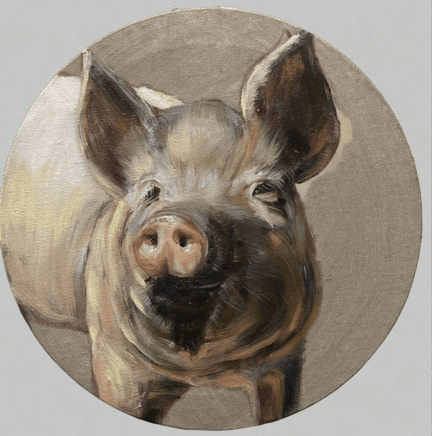adorable farm pig brought to life in oils hand painted by carrie foscato USA