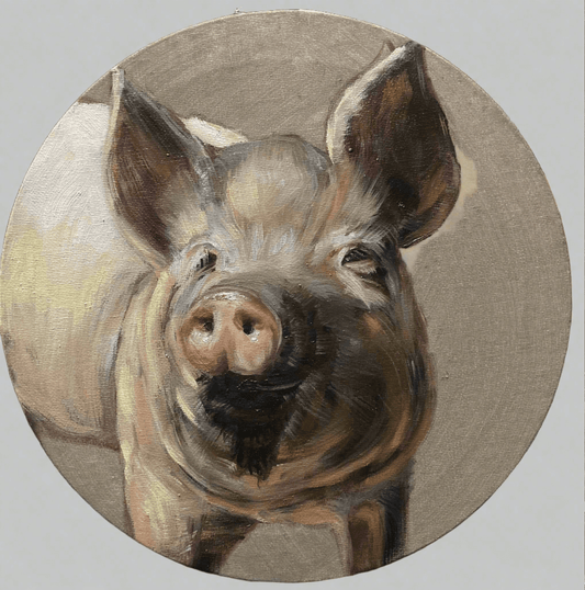 adorable farm pig brought to life in oils hand painted by carrie foscato USA