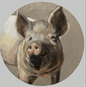 adorable farm pig brought to life in oils hand painted by carrie foscato USA