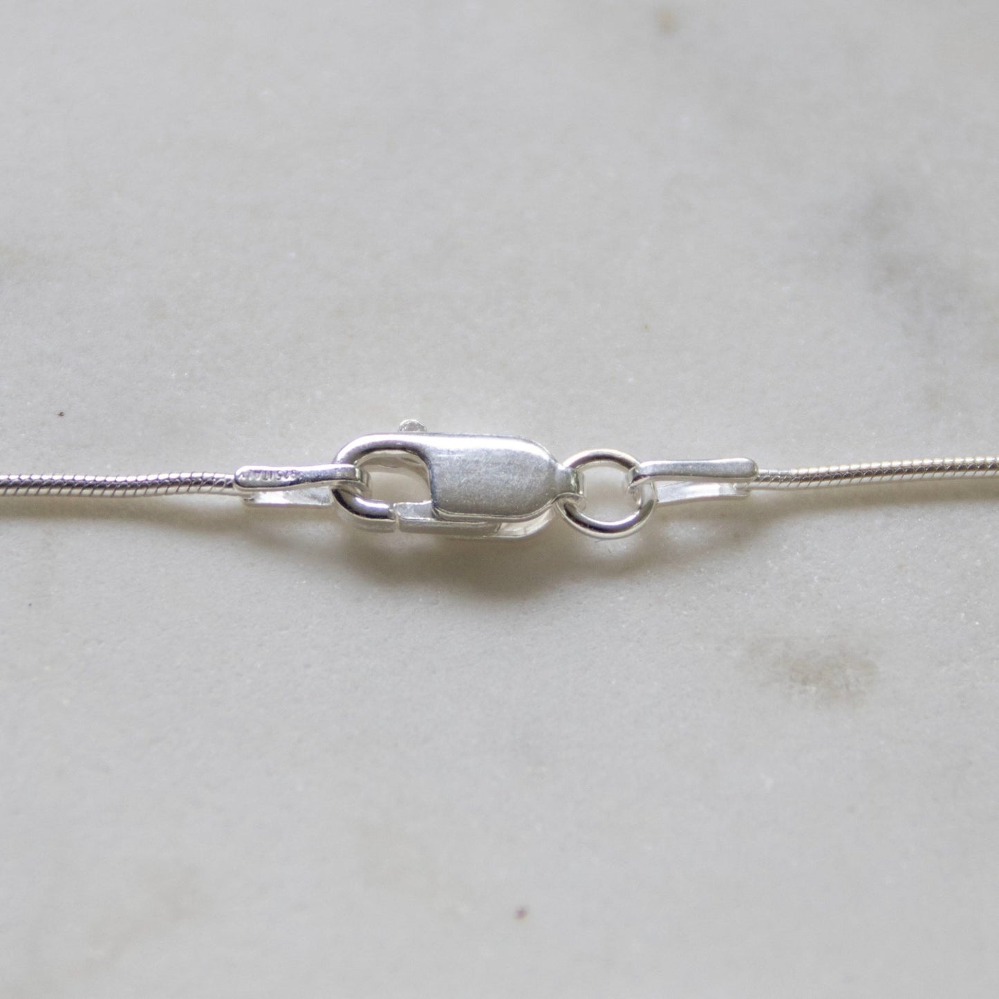Bee & Bloom Fine Silver Pendant & Chain