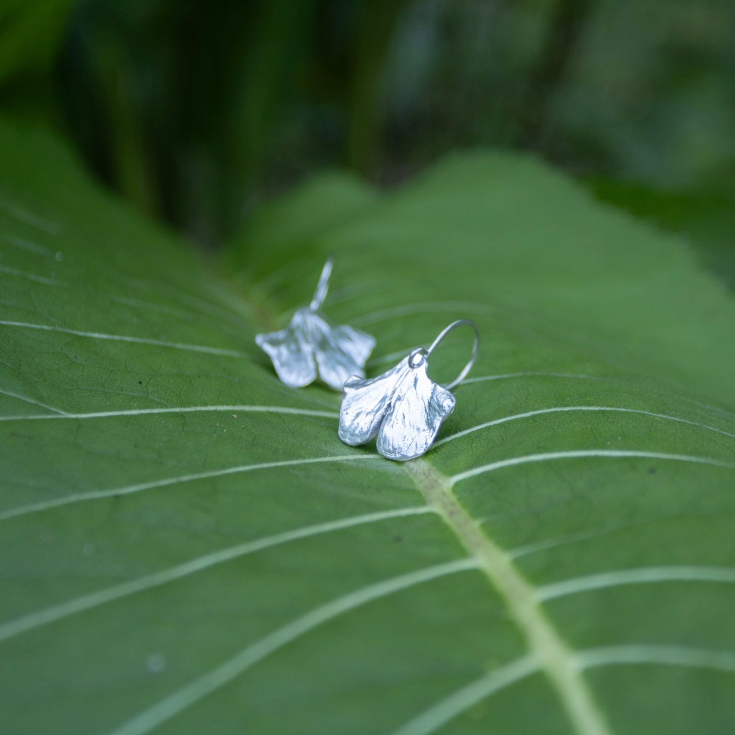 Ginkgo earrings