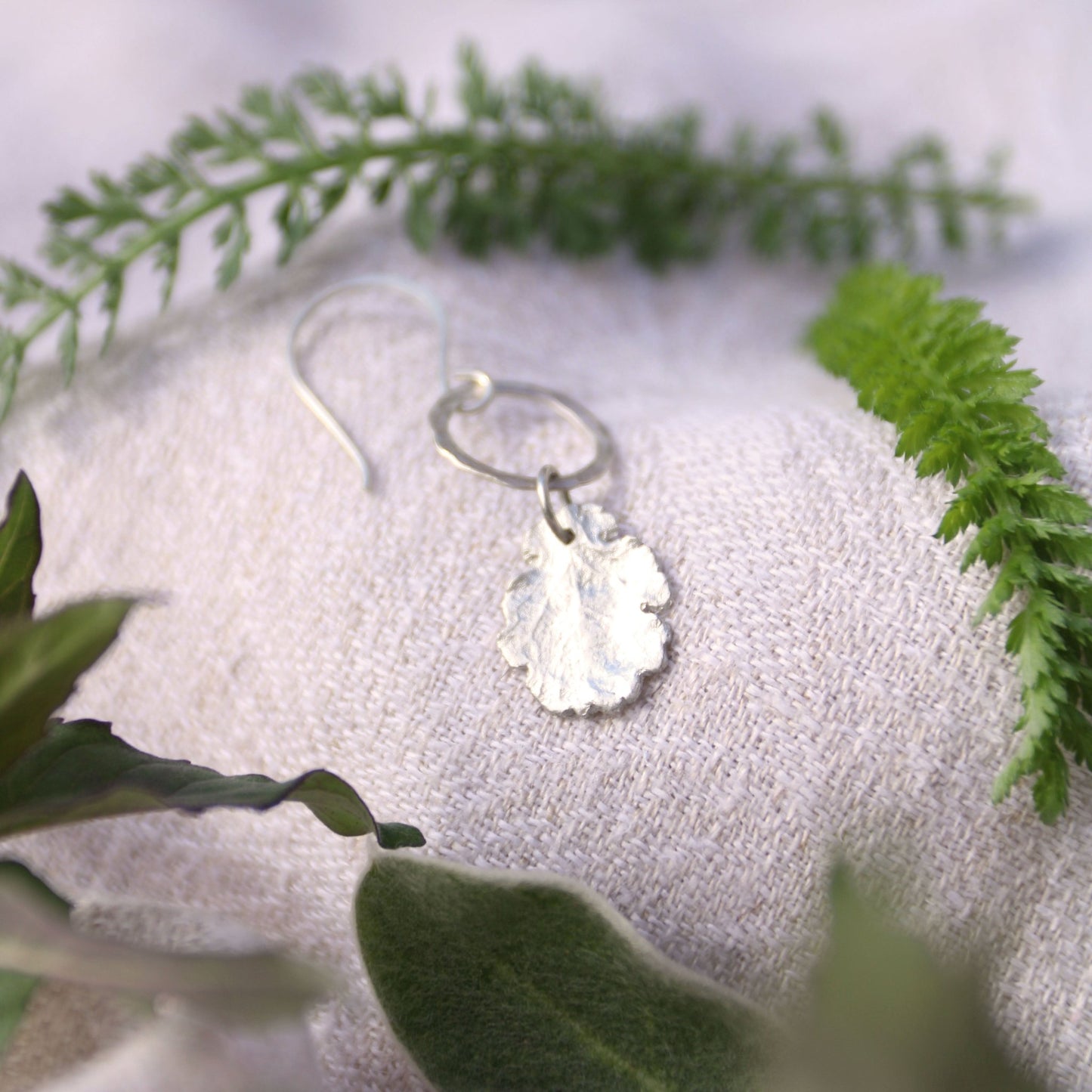ox eye daisy fine silver herb charm earring on a textured white surface with green leaves in the background
