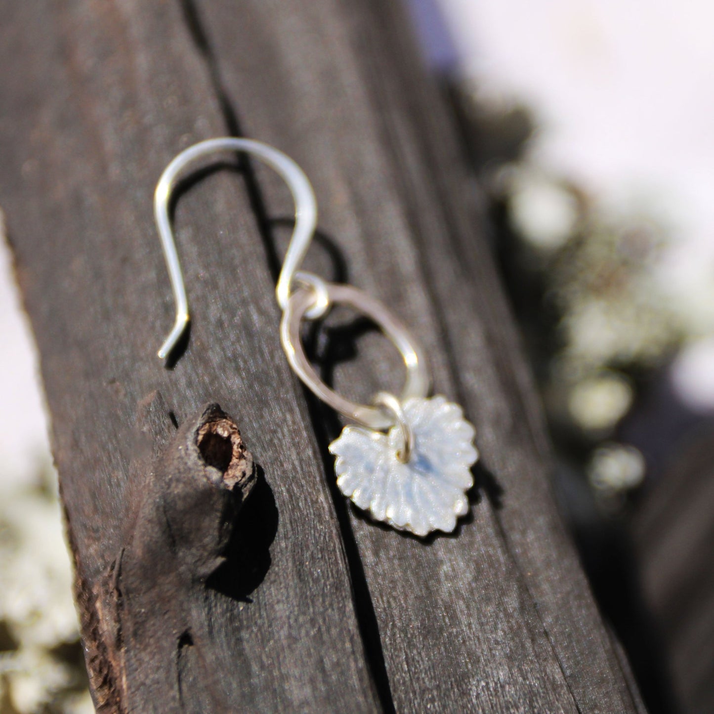 creeping charlie fine silver herb charm earrings on dark wood background handmade